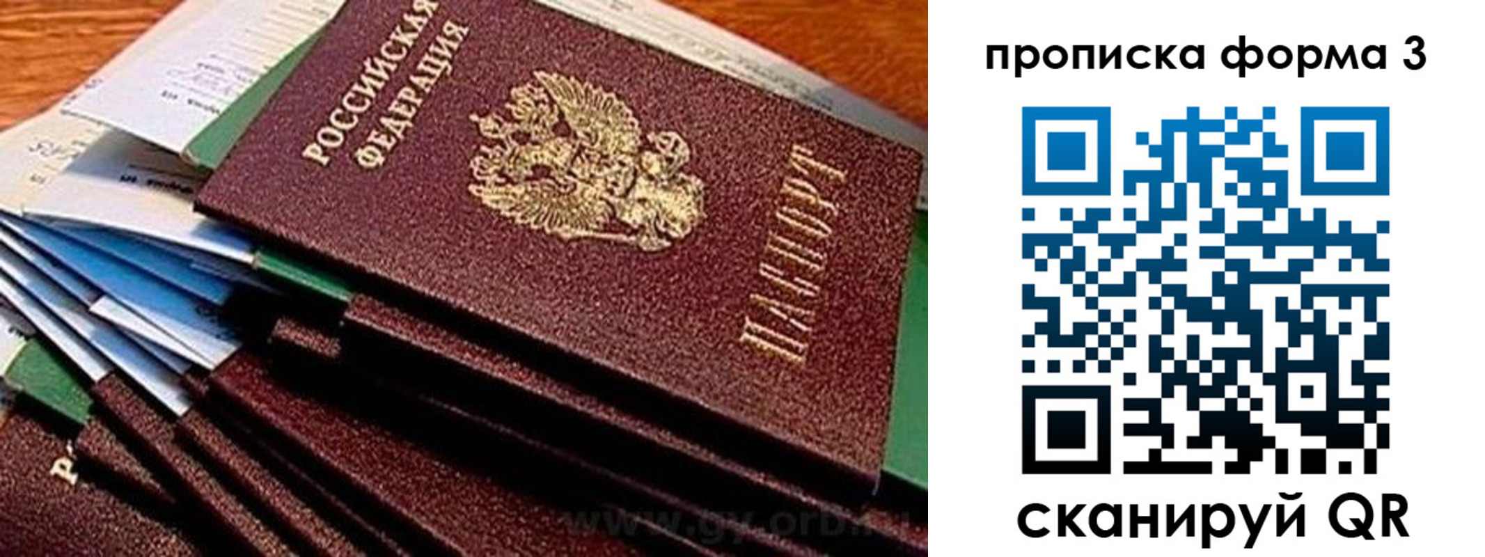 прописка иностранных граждан в Заозёрске